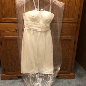 David’s Bridal Ivory Dress